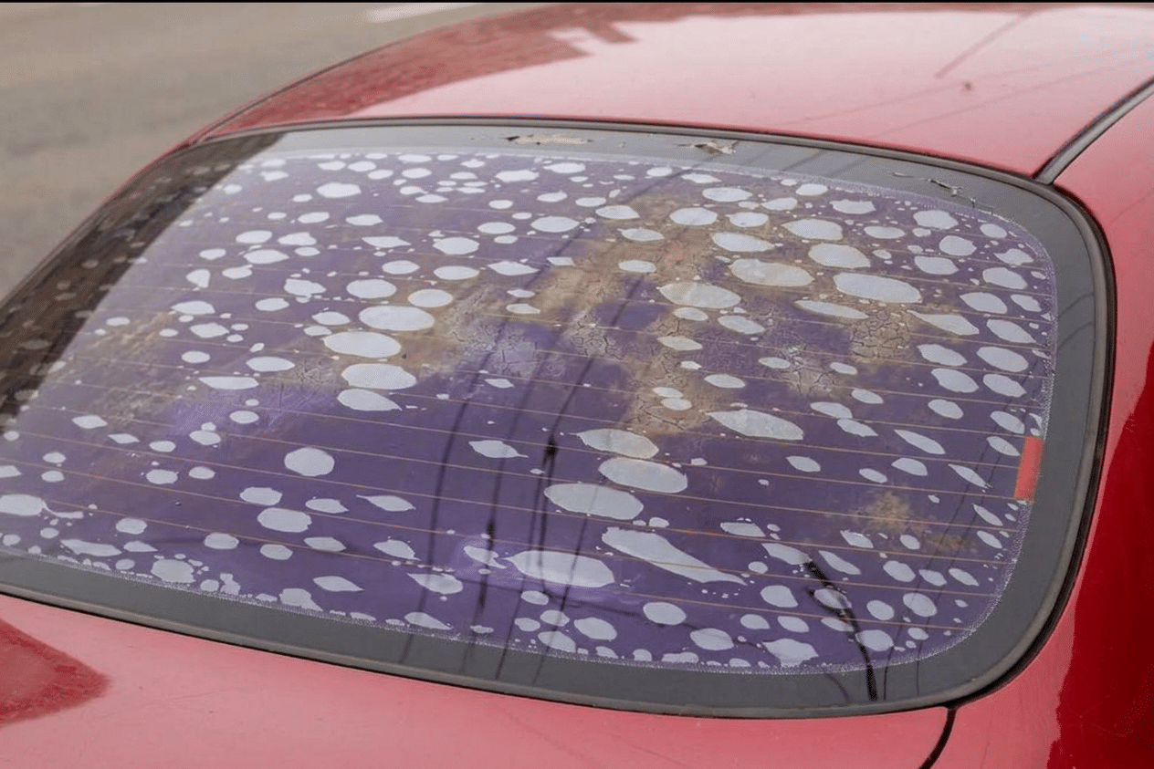 Old purple, bubbling window tint peeling on a car window versus clean ceramic tint