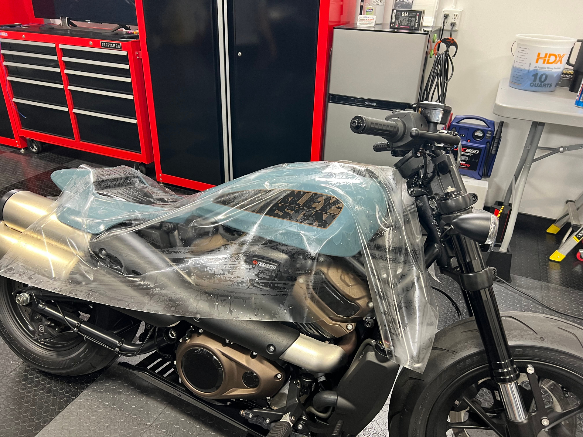 Harley-Davidson Sportster S — tank PPF protection